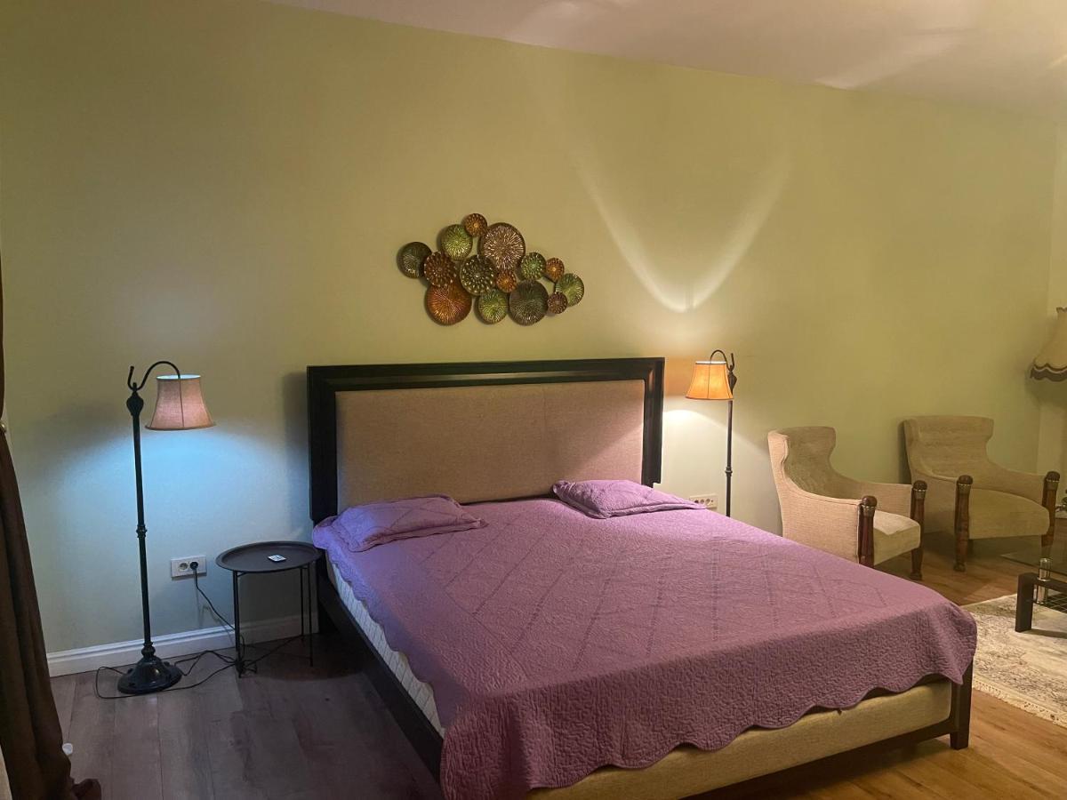 Cozyflat In The Central Arad Dış mekan fotoğraf